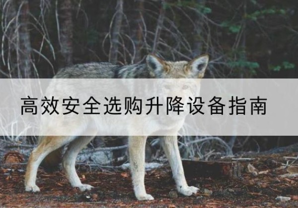 台前升降货梯厂家推荐-*安全选购升降设备指南