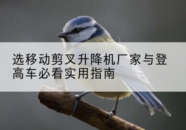 台前电动升降机厂家-选移动剪叉升降机厂家与登高车必看实用指南